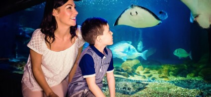 SEA LIFE London Aquarium