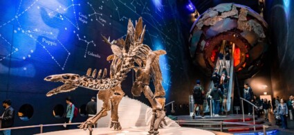 Museum of Natural History