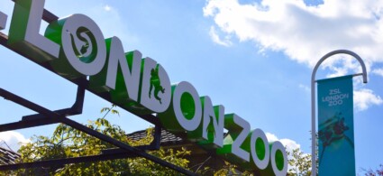 Zoo de Londres